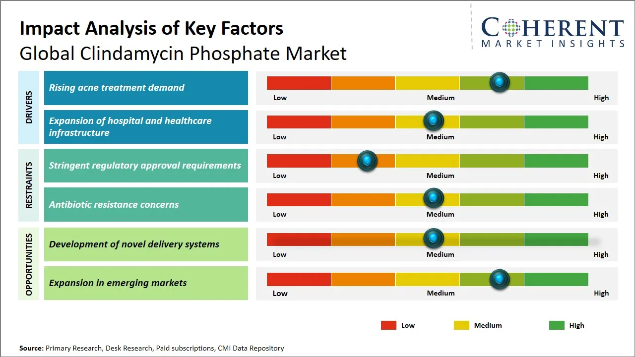 Clindamycin Phosphate Market Key Factors